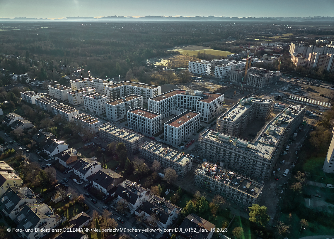 16.01.2023 - Alexisquartier und Pandion Verde